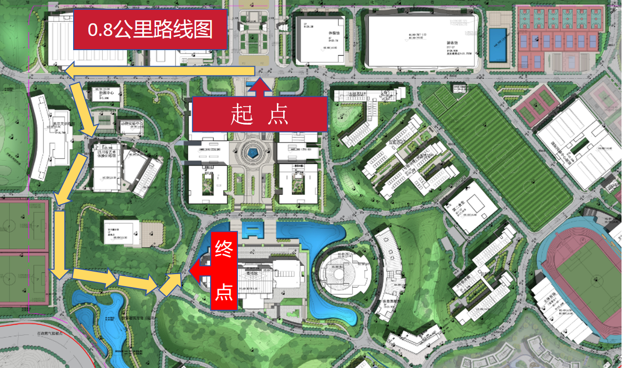 图5:个人赛--0.8KM跑路线图.png